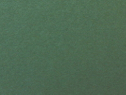 1,4 mm passepartout - efter mått grönfink (237)