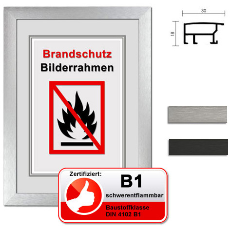 Certifierad standard B1 brandskyddsram "Econ bred" 